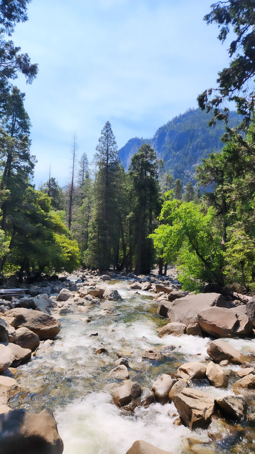 Sequoia National Park